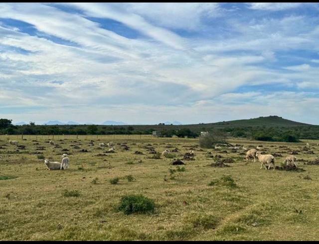 FARM FOR SALE IN MOSSEL BAY RURAL